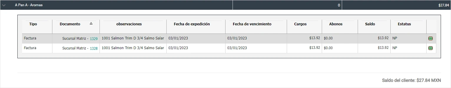 SonetERP. Vista previa de Saldo del cliente 1 de módulo de Estado de cuenta clientes/proveedores de Sonet-ERP