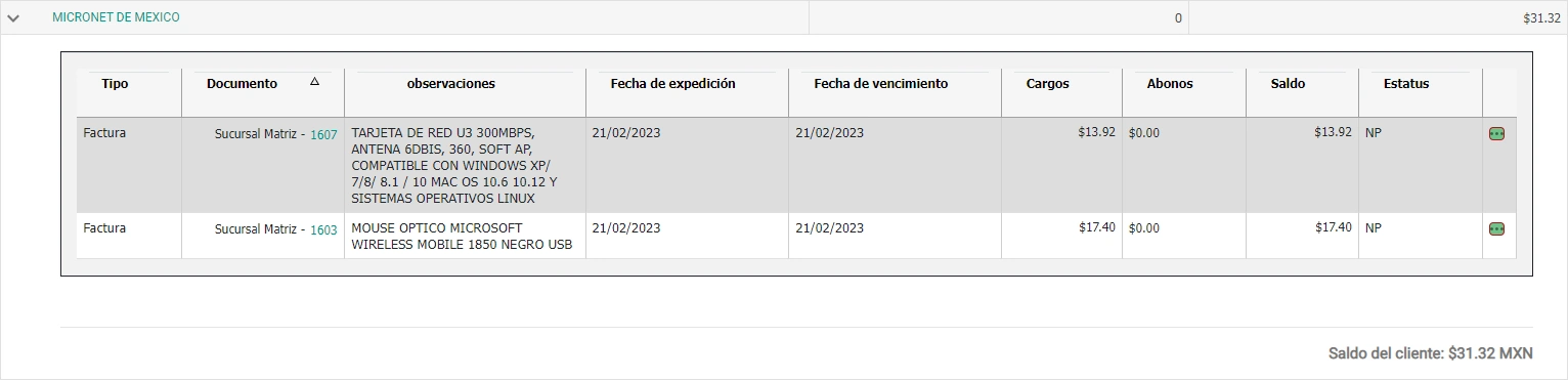 SonetERP. Vista previa de Saldo del cliente 2 de módulo de Estado de cuenta clientes/proveedores de Sonet-ERP